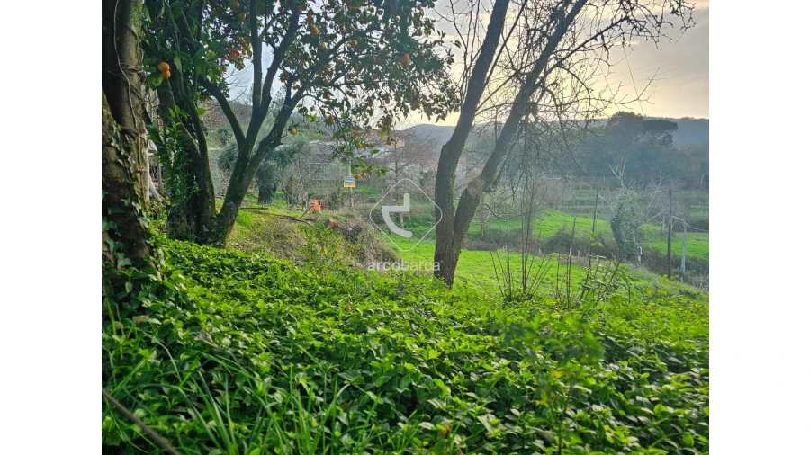 Terreno para Venda em Crasto, Ruivos e Grovelas Foto 17