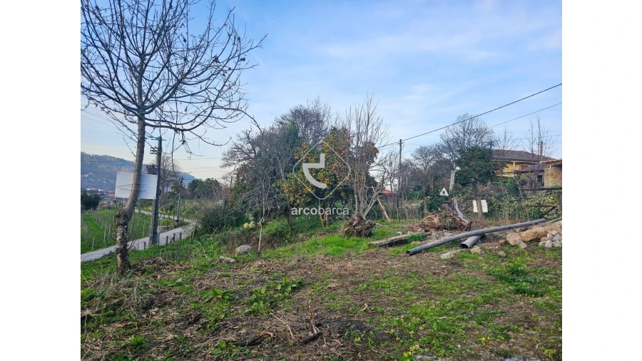 Terreno para Venda em Crasto, Ruivos e Grovelas Foto 5