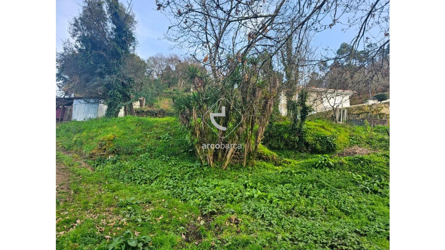 Terreno para Venda em Crasto, Ruivos e Grovelas Foto 12