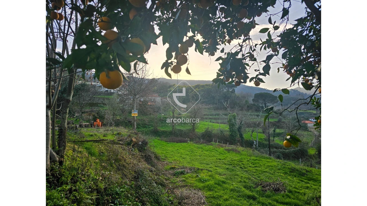 Terreno para Venda em Crasto, Ruivos e Grovelas Foto 16