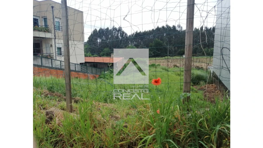 Terreno para Venda em Aguas Santas Foto 4