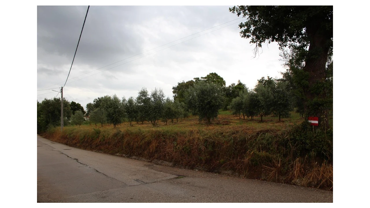 Terreno para Venda em Anobra Foto 1