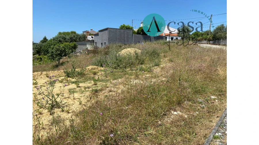 Terreno para Venda em Serra e Junceira Foto 3