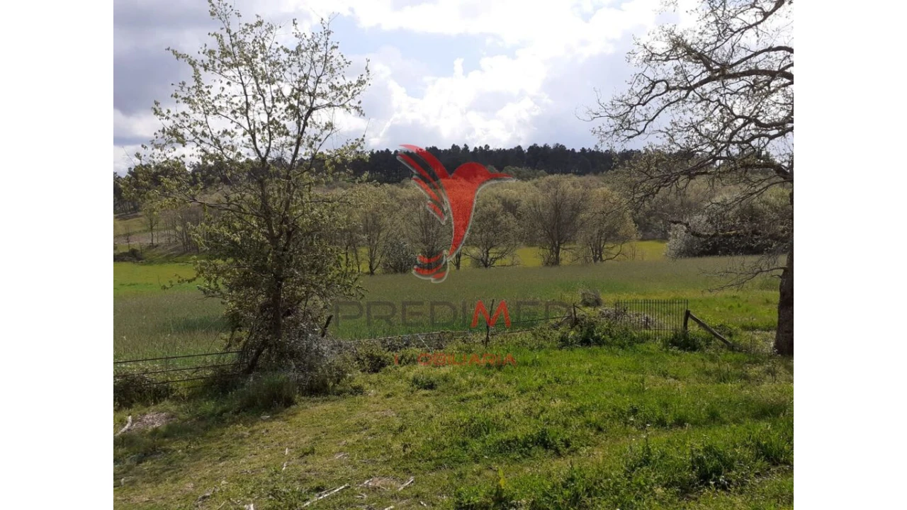 Quinta T6 para Venda em Trancoso (São Pedro e Santa Maria) e Souto Maior Foto 6