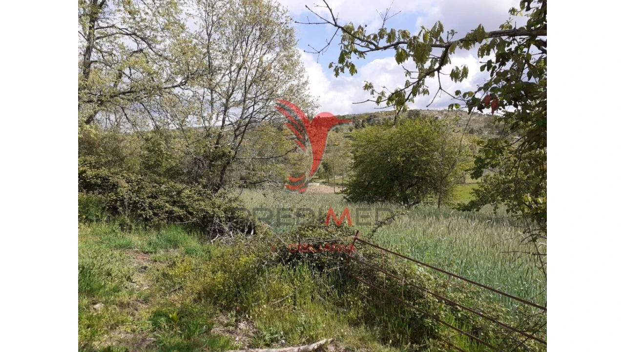 Quinta T6 para Venda em Trancoso (São Pedro e Santa Maria) e Souto Maior Foto 7