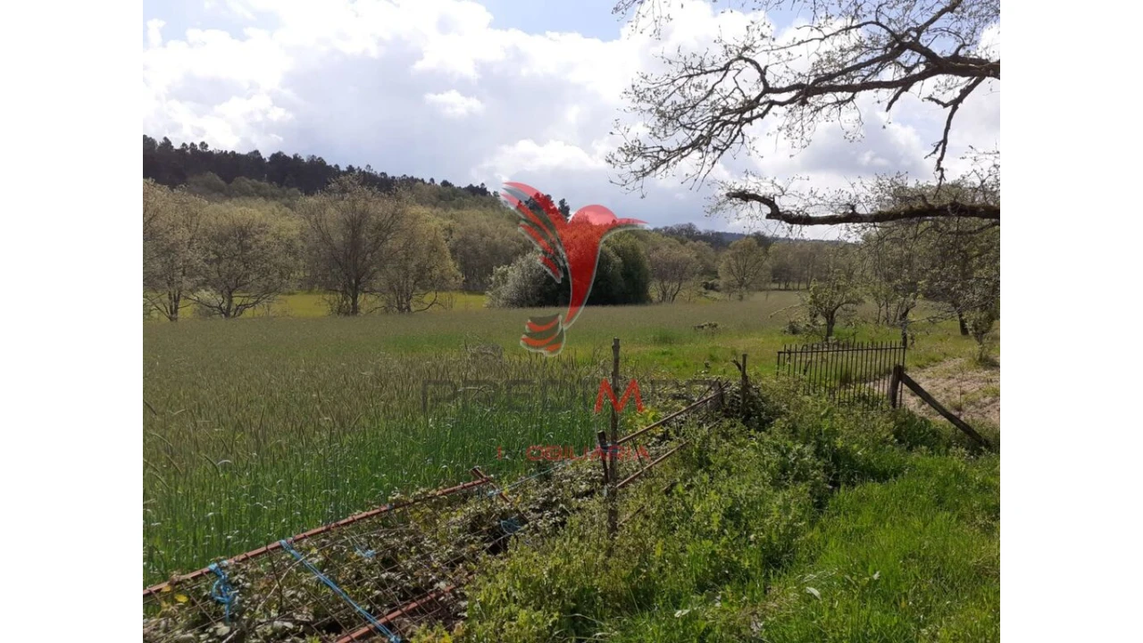 Quinta T6 para Venda em Trancoso (São Pedro e Santa Maria) e Souto Maior Foto 5