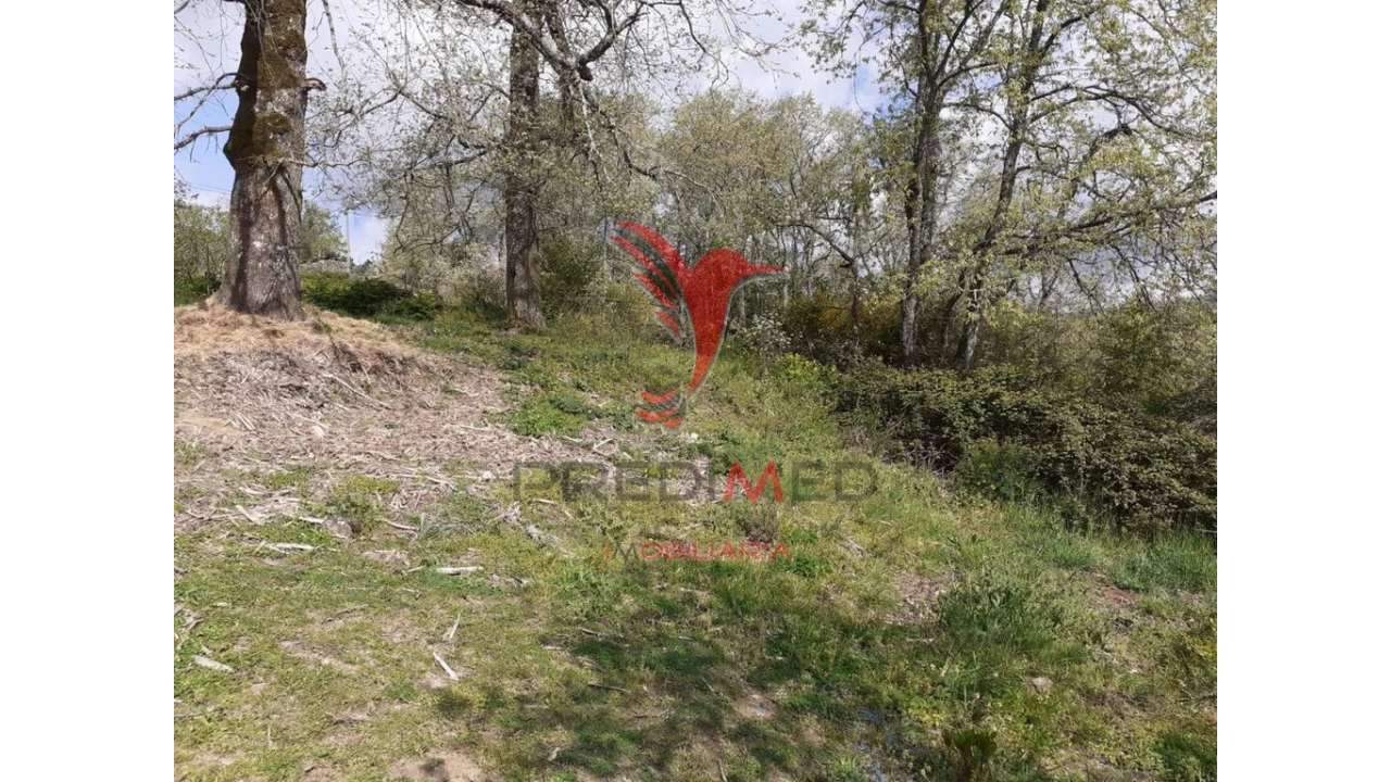 Quinta T6 para Venda em Trancoso (São Pedro e Santa Maria) e Souto Maior Foto 9