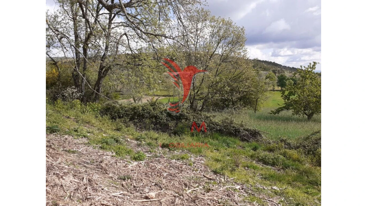 Quinta T6 para Venda em Trancoso (São Pedro e Santa Maria) e Souto Maior Foto 3