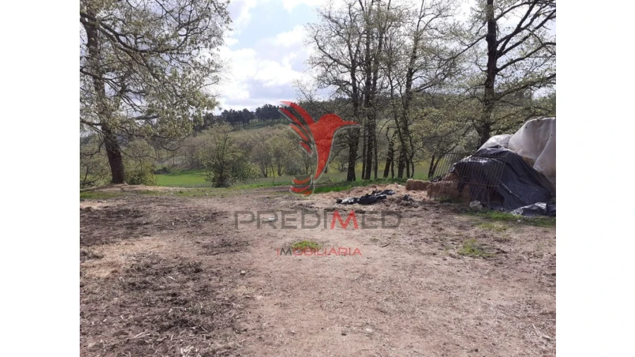 Quinta T6 para Venda em Trancoso (São Pedro e Santa Maria) e Souto Maior Foto 2