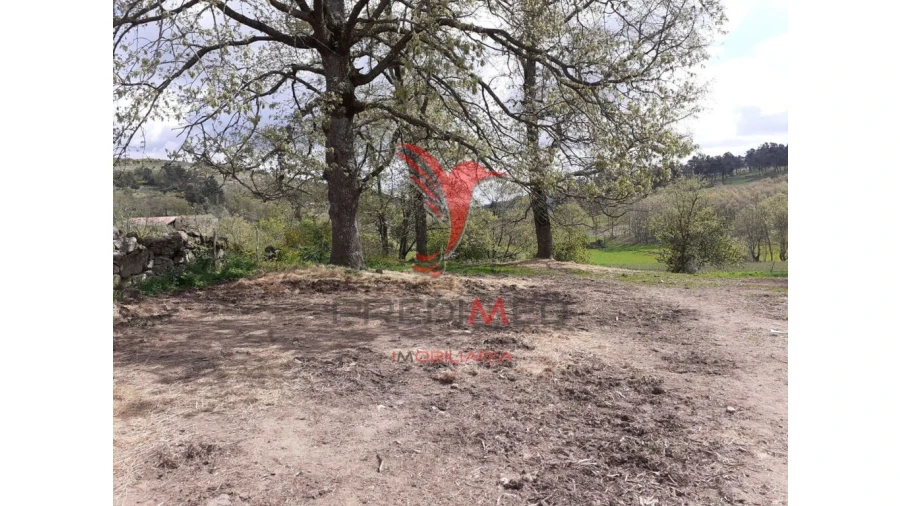 Quinta T6 para Venda em Trancoso (São Pedro e Santa Maria) e Souto Maior Foto 8