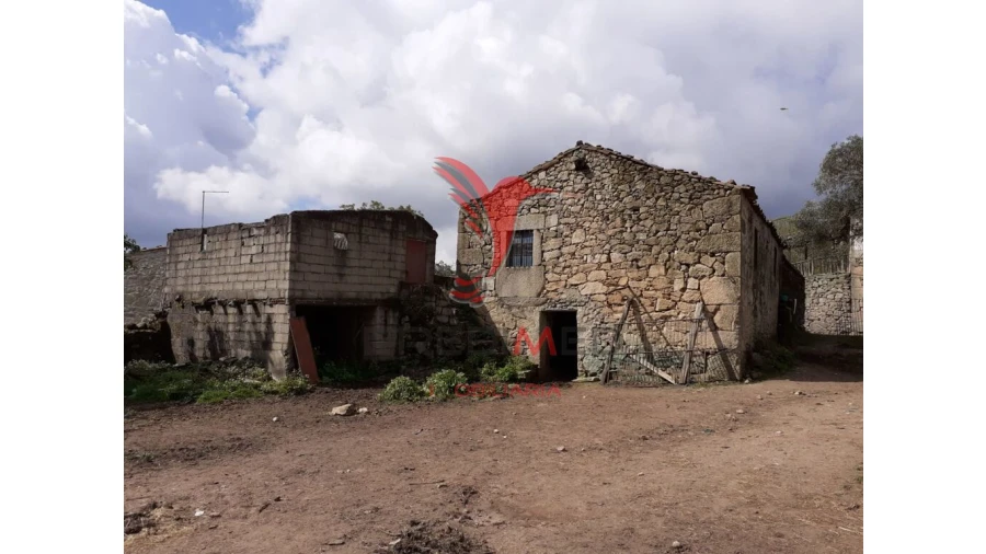 Quinta T6 para Venda em Trancoso (São Pedro e Santa Maria) e Souto Maior Foto 1