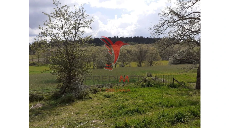 Quinta T6 para Venda em Trancoso (São Pedro e Santa Maria) e Souto Maior Foto 10