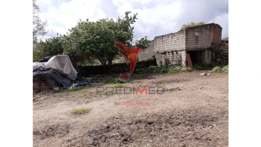 Quinta T6 para Venda em Trancoso (São Pedro e Santa Maria) e Souto Maior Foto 13