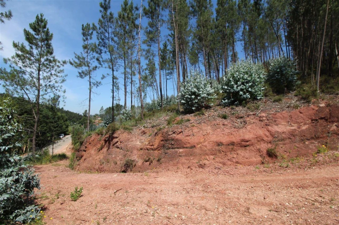 Terreno para Venda em Sé Nova, Santa Cruz, Almedina e São Bartolomeu Foto 5