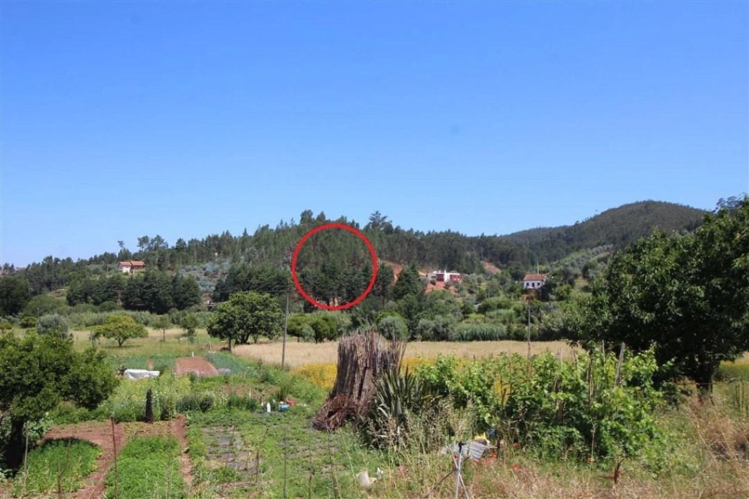 Terreno para Venda em Sé Nova, Santa Cruz, Almedina e São Bartolomeu Foto 9