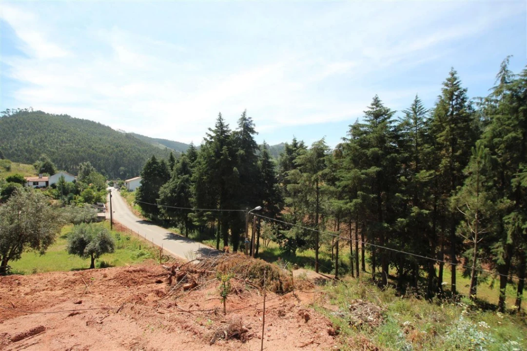 Terreno para Venda em Sé Nova, Santa Cruz, Almedina e São Bartolomeu Foto 8