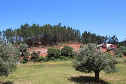 Terreno para Venda em Sé Nova, Santa Cruz, Almedina e São Bartolomeu