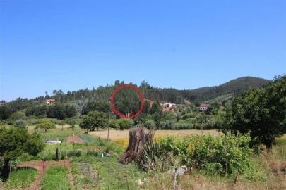 Terreno para Venda em Sé Nova, Santa Cruz, Almedina e São Bartolomeu