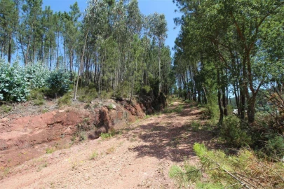 Terreno para Venda em Sé Nova, Santa Cruz, Almedina e São Bartolomeu