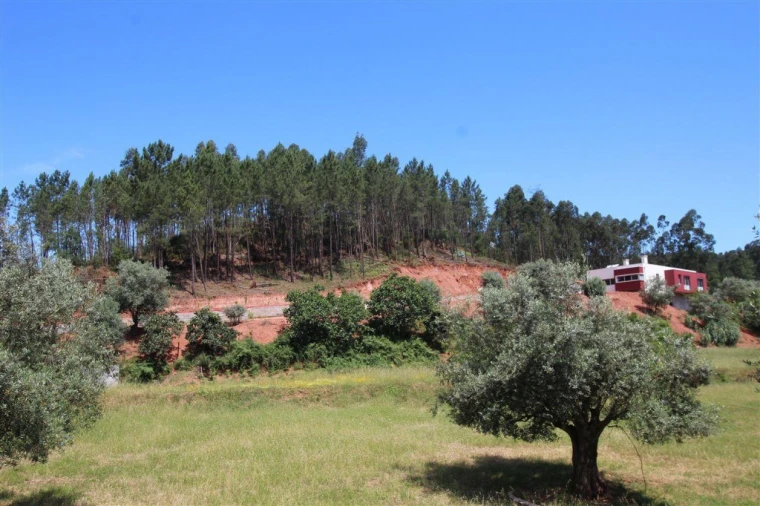 Terreno para Venda em Sé Nova, Santa Cruz, Almedina e São Bartolomeu Foto 2