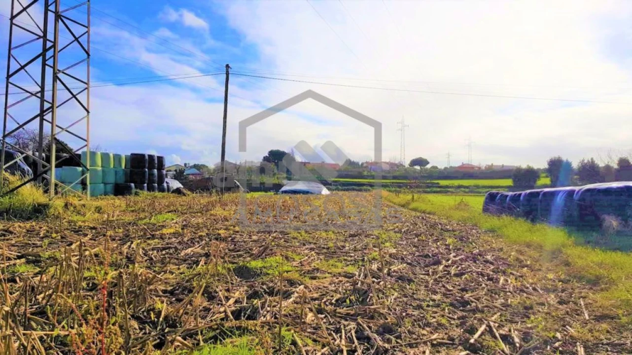Terreno para Venda em Salreu Foto 3
