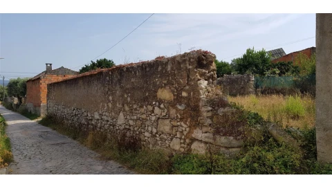 Terreno para Venda em Souselas e Botão