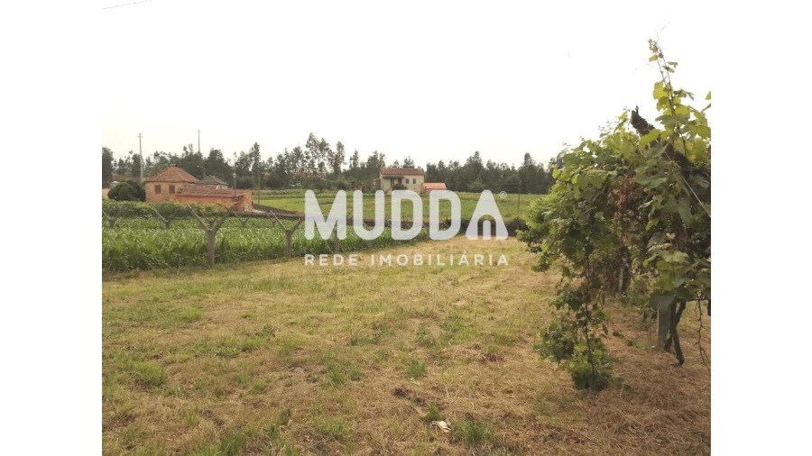 Terreno para Venda em Ribeira de Fraguas Foto 3