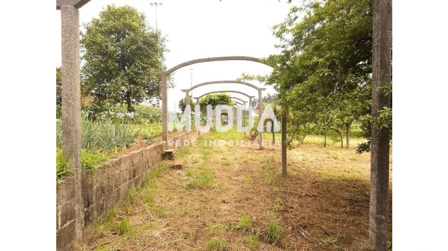 Terreno para Venda em Ribeira de Fraguas Foto 7