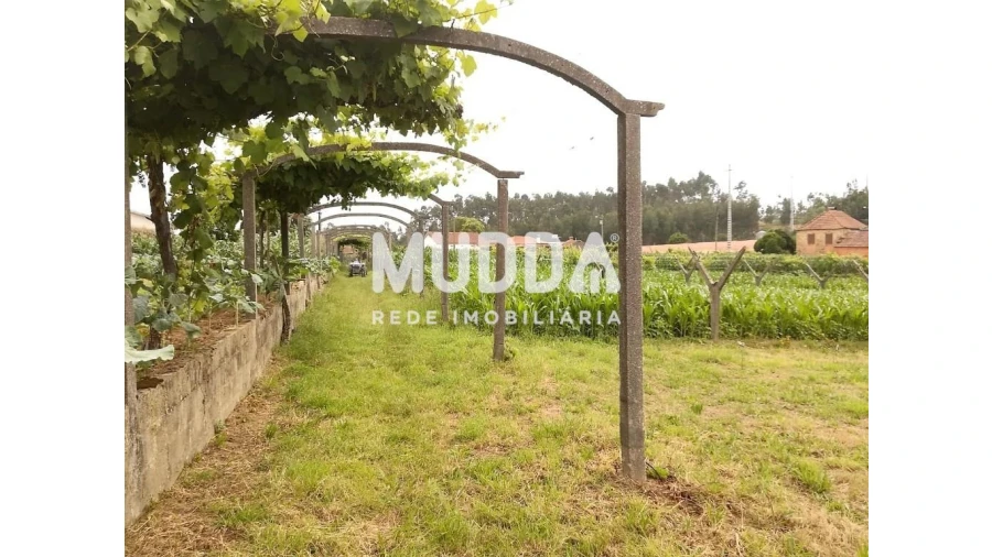 Terreno para Venda em Ribeira de Fraguas Foto 6
