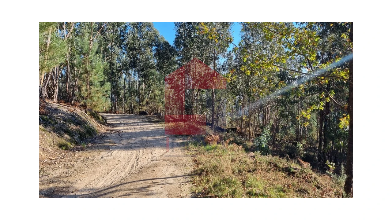 Terreno para Venda em Oriz (Santa Marinha) e Oriz (São Miguel) Foto 8