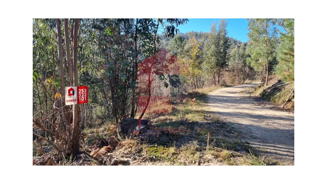 Terreno para Venda em Oriz (Santa Marinha) e Oriz (São Miguel) Foto 1