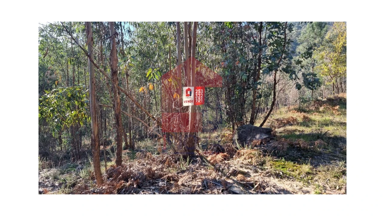 Terreno para Venda em Oriz (Santa Marinha) e Oriz (São Miguel) Foto 7