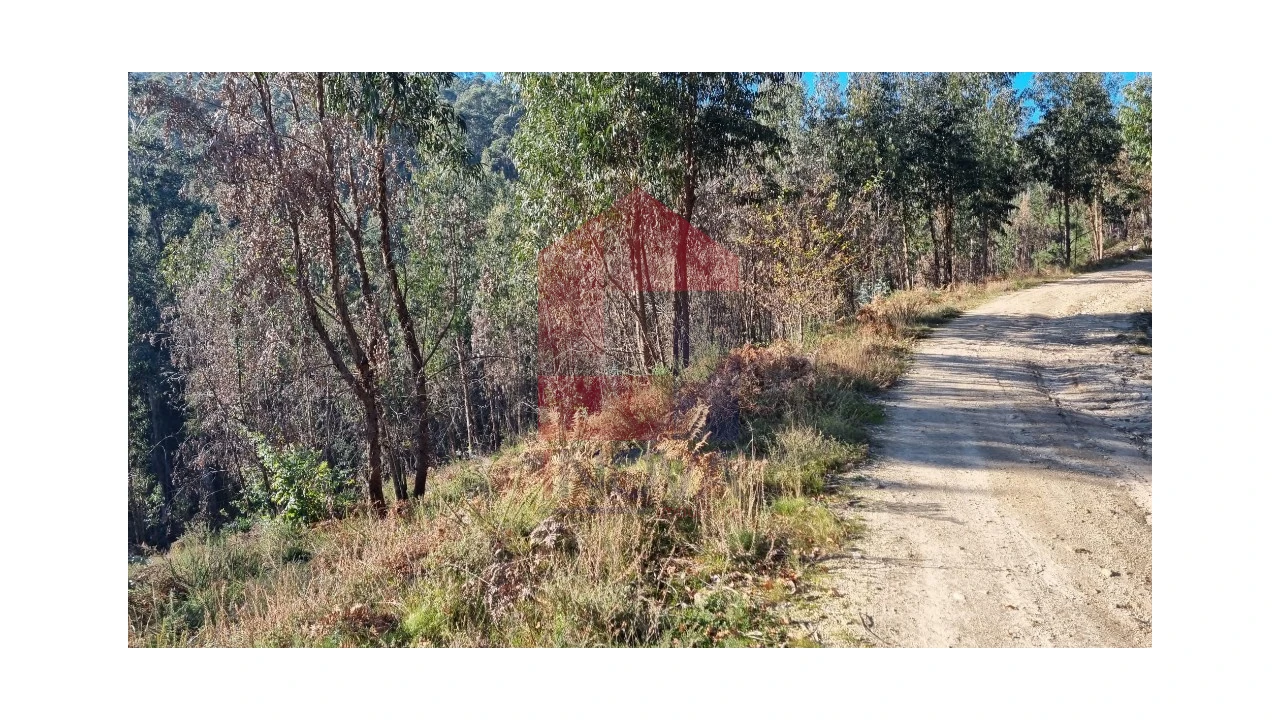 Terreno para Venda em Oriz (Santa Marinha) e Oriz (São Miguel) Foto 5