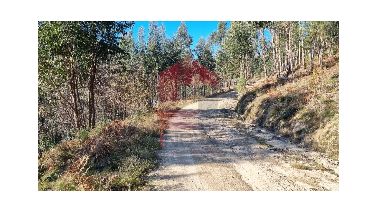 Terreno para Venda em Oriz (Santa Marinha) e Oriz (São Miguel) Foto 9