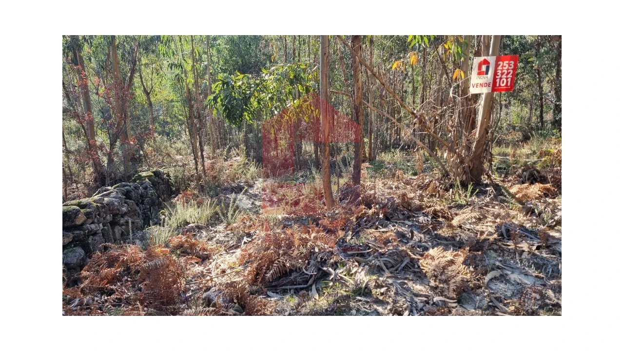Terreno para Venda em Oriz (Santa Marinha) e Oriz (São Miguel) Foto 10