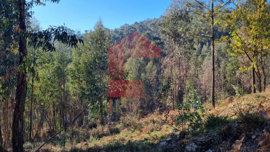 Terreno para Venda em Oriz (Santa Marinha) e Oriz (São Miguel) Foto 3