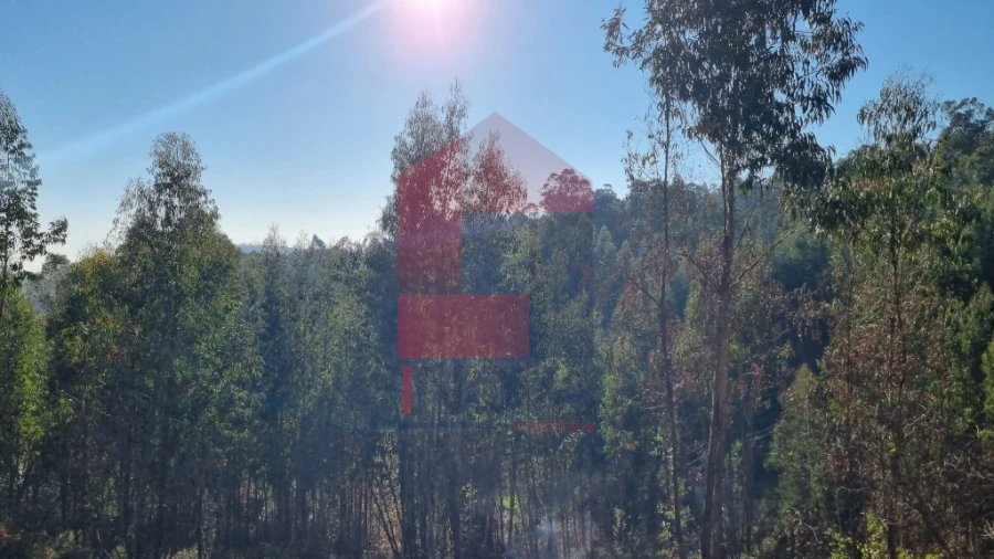 Terreno para Venda em Oriz (Santa Marinha) e Oriz (São Miguel) Foto 4