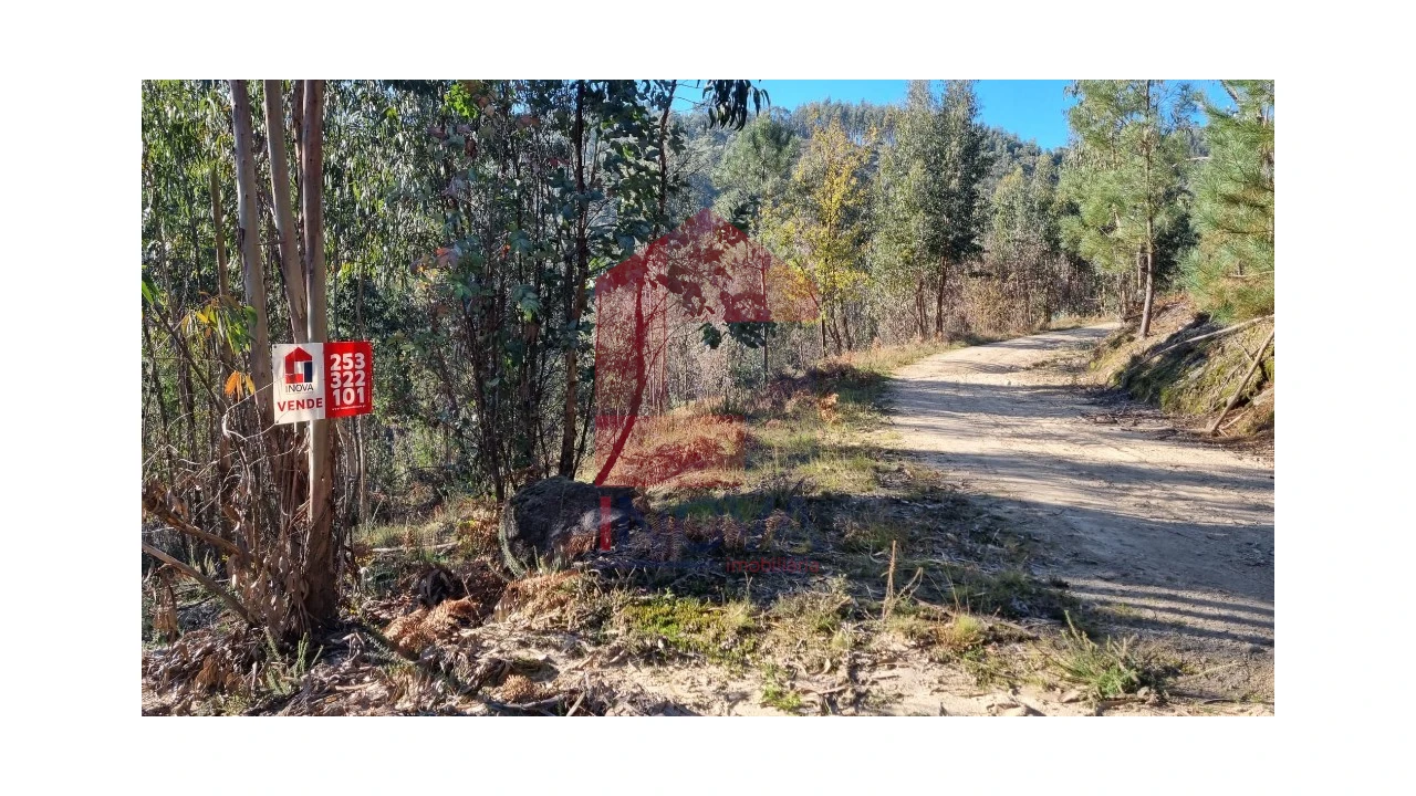 Terreno para Venda em Oriz (Santa Marinha) e Oriz (São Miguel) Foto 12