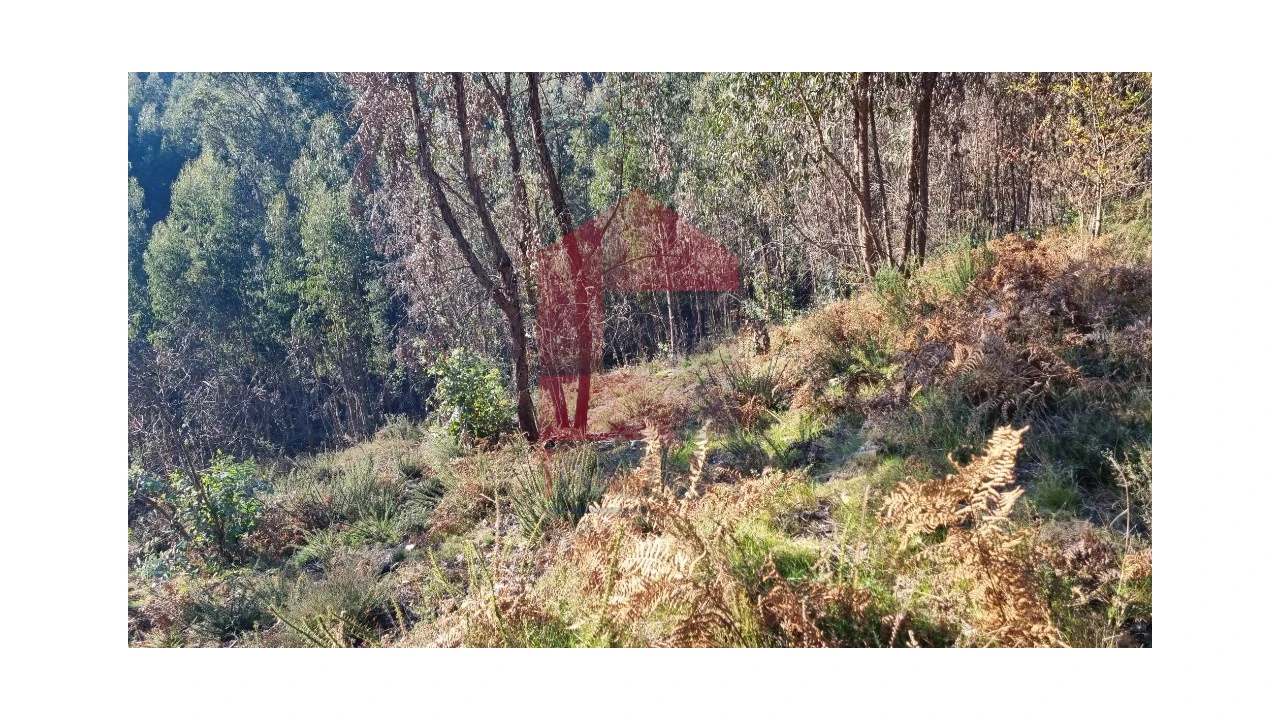 Terreno para Venda em Oriz (Santa Marinha) e Oriz (São Miguel) Foto 6