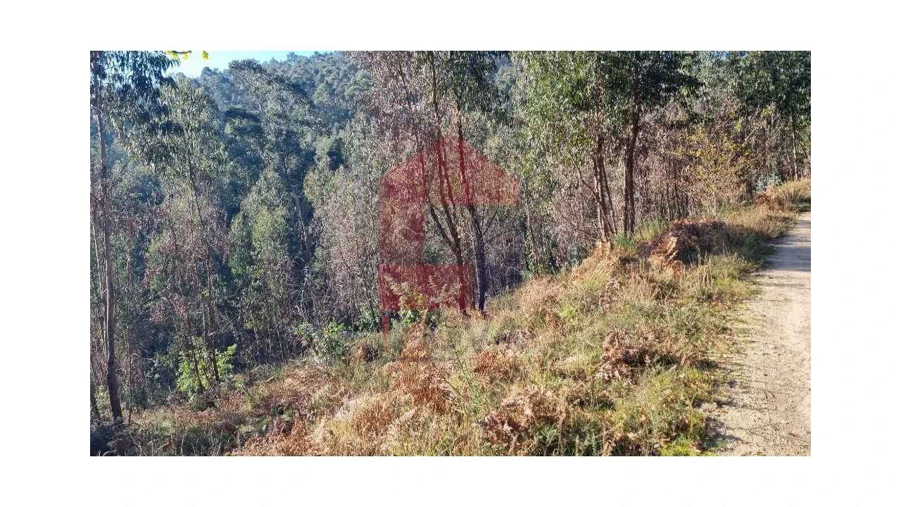 Terreno para Venda em Oriz (Santa Marinha) e Oriz (São Miguel) Foto 2