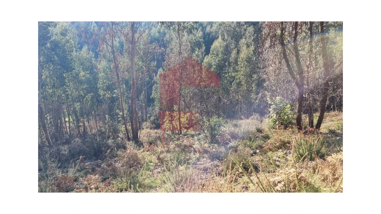 Terreno para Venda em Oriz (Santa Marinha) e Oriz (São Miguel) Foto 11