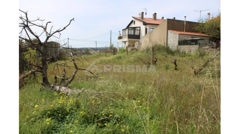 Terreno para Venda em Castelo Branco