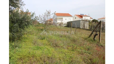 Terreno para Venda em Castelo Branco
