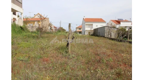 Terreno para Venda em Castelo Branco