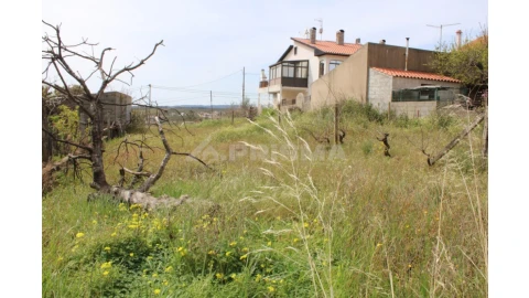 Terreno para Venda em Castelo Branco