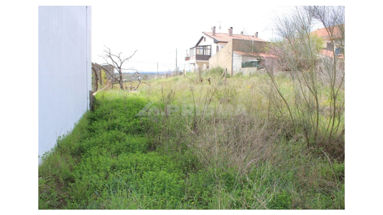 Terreno para Venda em Castelo Branco Foto 9