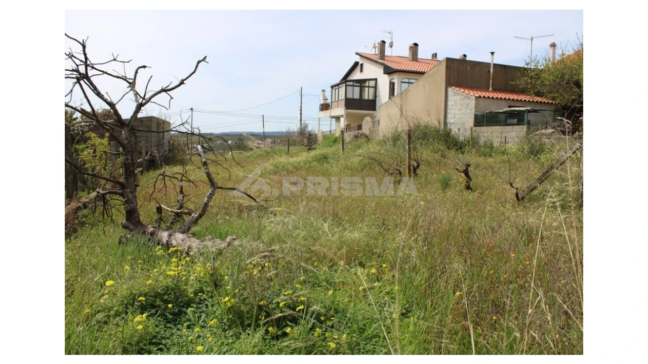Terreno para Venda em Castelo Branco Foto 6
