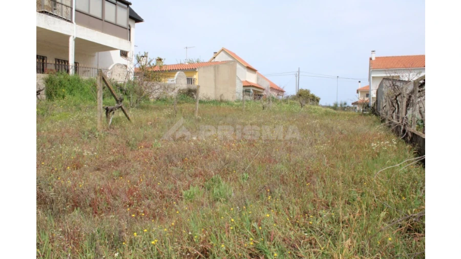 Terreno para Venda em Castelo Branco Foto 3