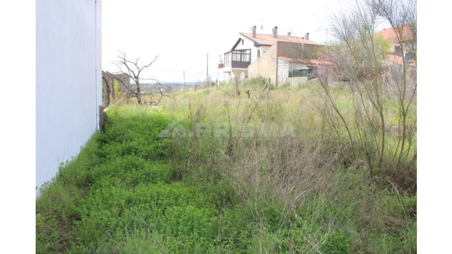 Terreno para Venda em Castelo Branco Foto 9