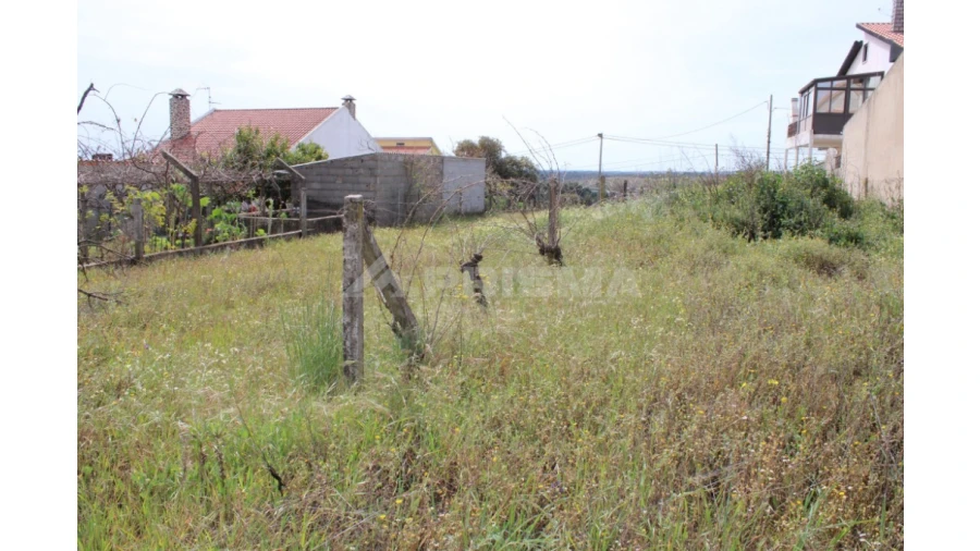 Terreno para Venda em Castelo Branco Foto 4